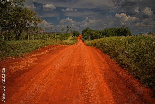 Camino rojizo en Misiones Argentina photo