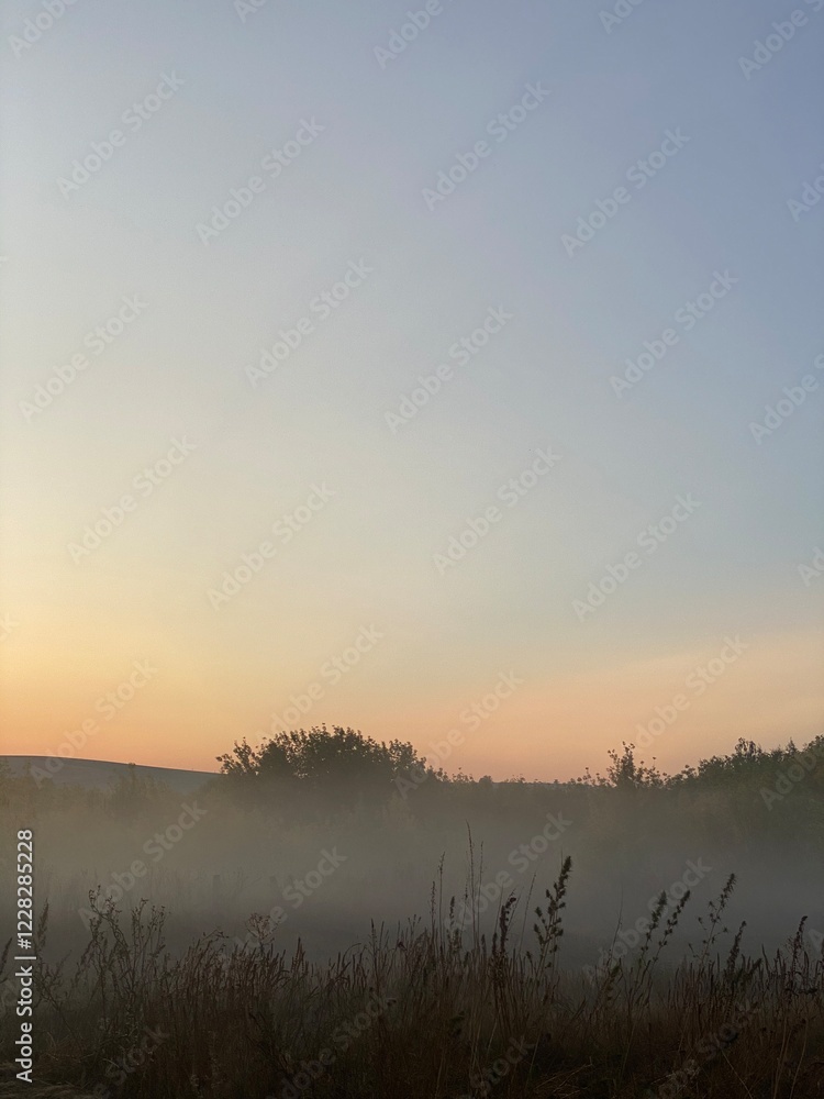 Fototapeta premium misty morning on the landscape
