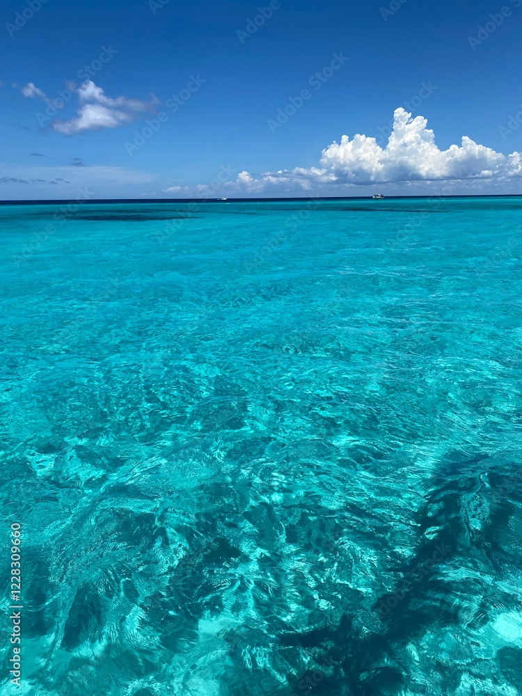 Obraz premium Turquoise water
