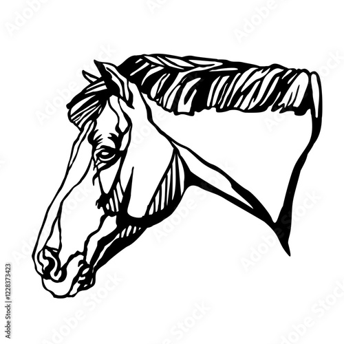 Beautiful horse head silhouette. Horse portrait black and white. Vector illustration, isolated on white background. Stallion horse, template for logo, design, tattoo, stencil and laser cutting
