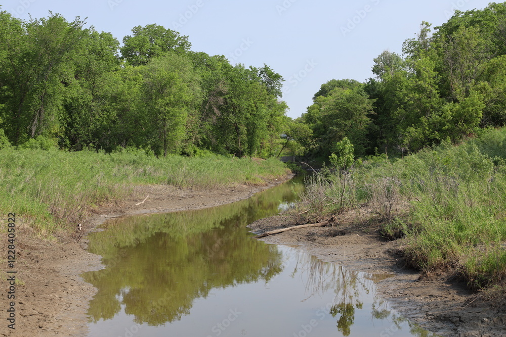 trees reflected in placid shallow creek between muddy grassy banks trees reflected in placid shallow creek between muddy grassy banks