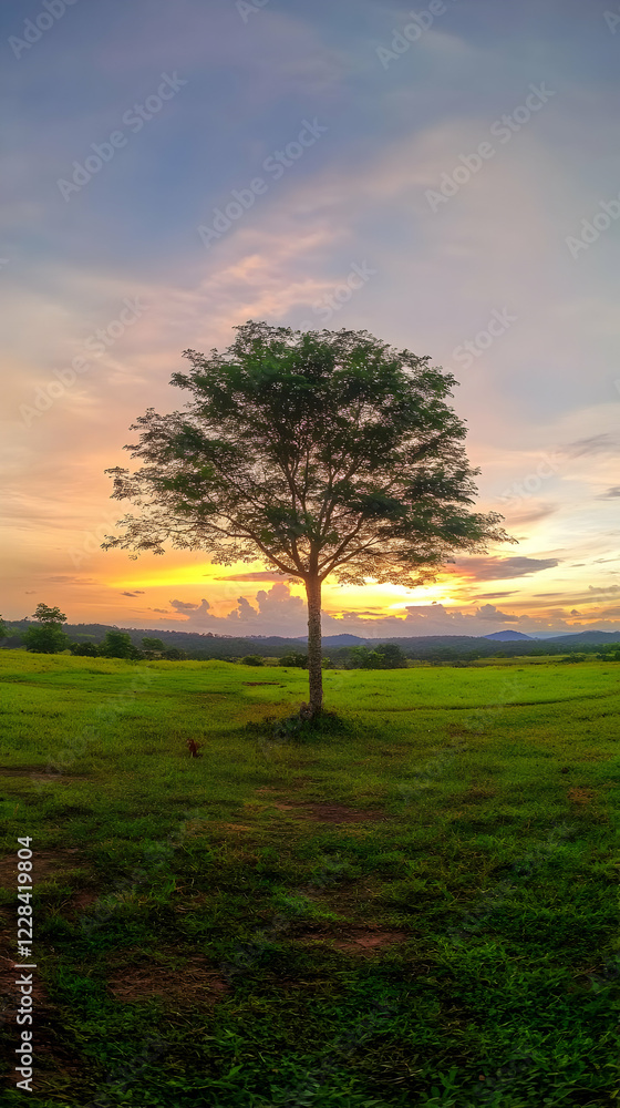 Obraz premium Lone Tree Stands Tall in a Green Field at Sunset with a Colorful Sky Background