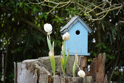 Birdhouse