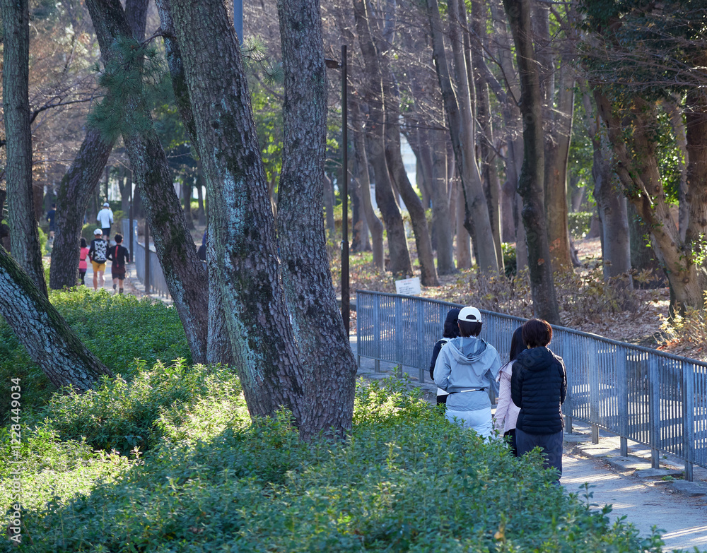 Obraz premium 冬の朝の公園でランニングする人々の姿