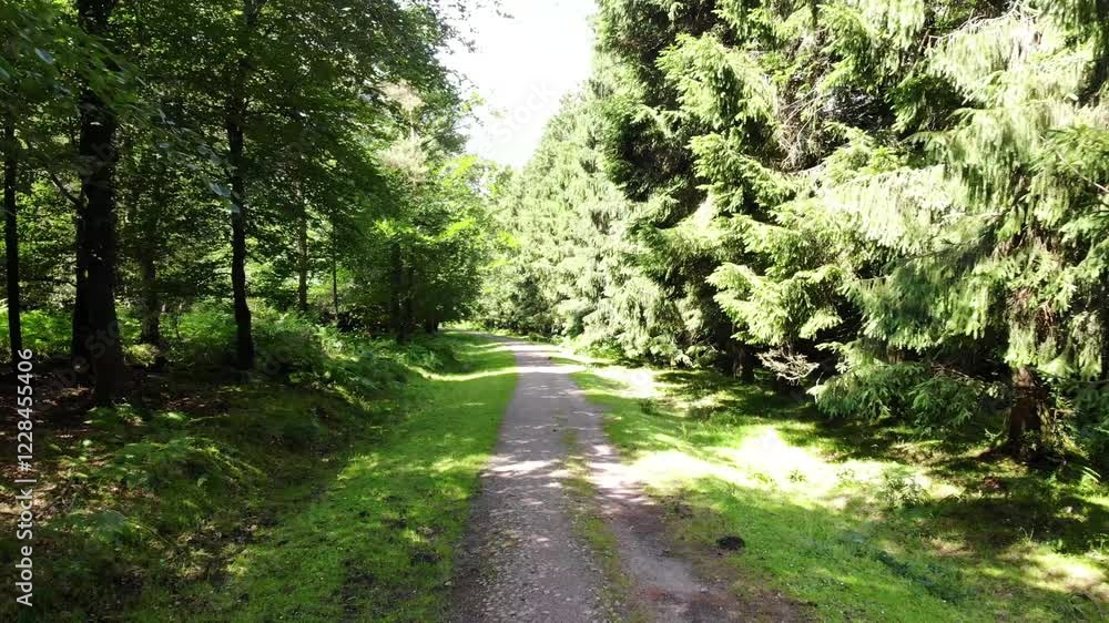 Gravel path meandering through lush green forest in Staple Hill, part of the Blackdown Hills AONB on a sunny summer day. Aerial Shot Gravel path meandering through lush green forest in Staple Hill, part of the Blackdown Hills AONB on a sunny summer day. Aerial Shot