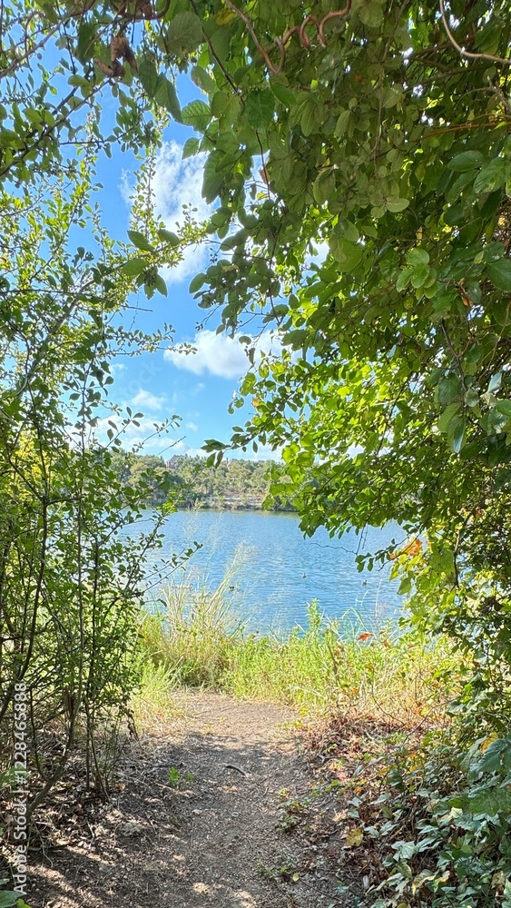 Naklejka premium river in the woods