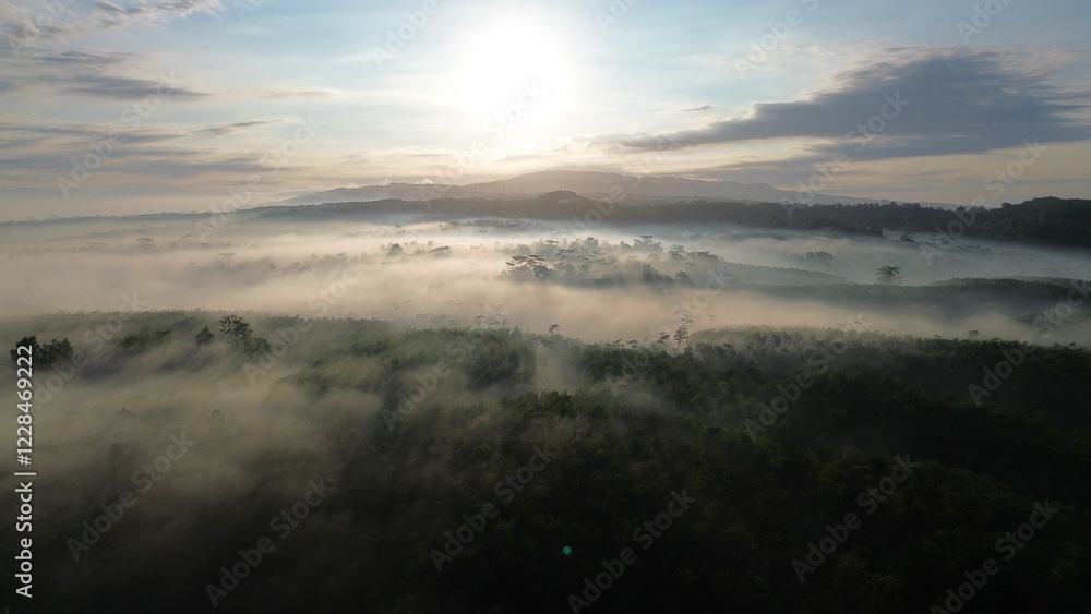 Fototapeta premium Point of view drone flying above the trees with fog above with sunlight penetrating the trees, with a sunrise background and clouds and a row of hills