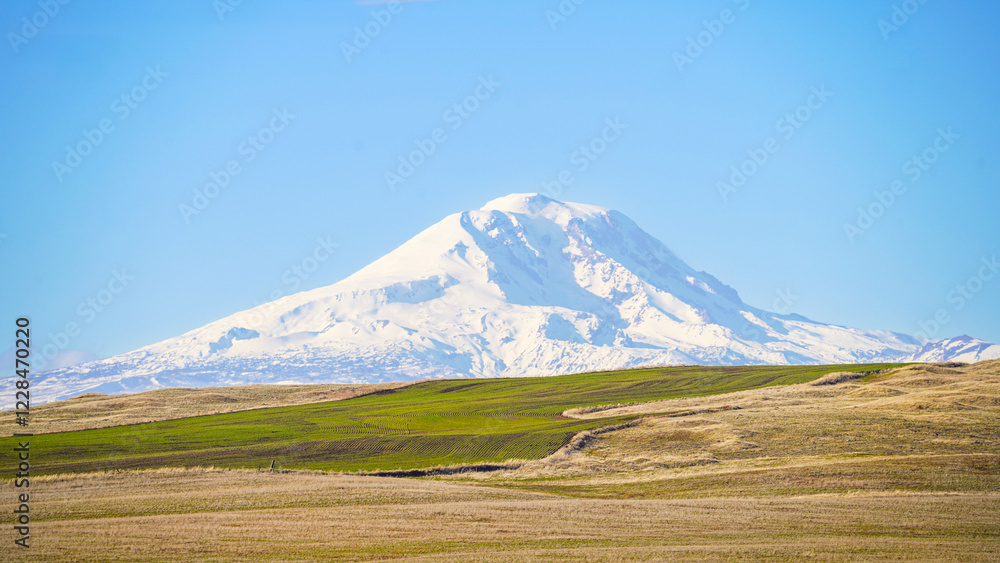 Fototapeta premium Snow capped Mountain over looking farmland