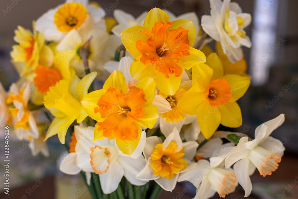 mixed bouquet of yellow and creme colored daffodils in spring mixed bouquet of yellow and creme colored daffodils in spring