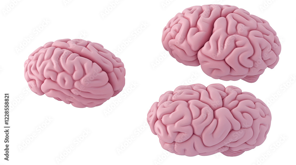 Pink Human Brains on Clear Background Generative AI Pink Human Brains on Clear Background Generative AI