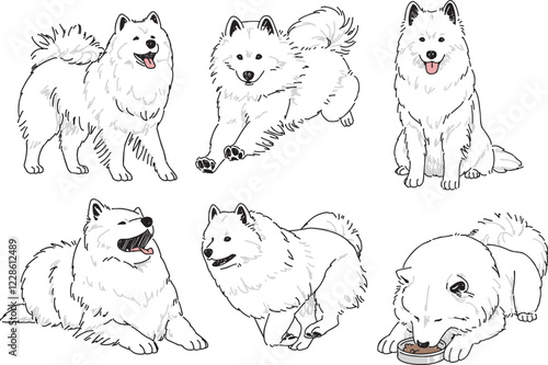 様々なポーズのサモエドの手書きイラストセット