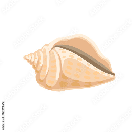 vector drawing sea shell, seashell isolated at white background, hand drawn illustration
