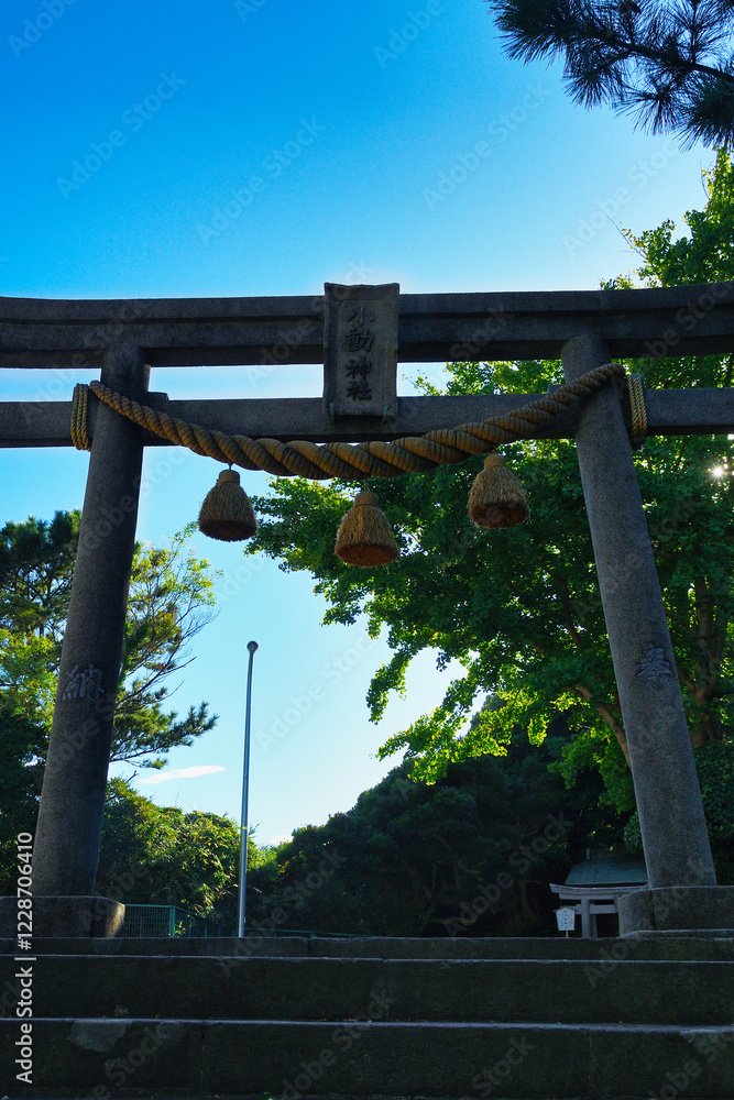 鎌倉 小動神社 青空にはえる美しい鳥居 コピースペースあり (日本神奈川県鎌倉市腰越)
Kamakura Koyurugi Shrine Beautiful torii gates against the blue sky Copy space available (Koshigoe, Kamakura, Kanagawa Prefecture, Japan) 鎌倉 小動神社 青空にはえる美しい鳥居 コピースペースあり (日本神奈川県鎌倉市腰越)
Kamakura Koyurugi Shrine Beautiful torii gates against the blue sky Copy space available (Koshigoe, Kamakura, Kanagawa Prefecture, Japan)