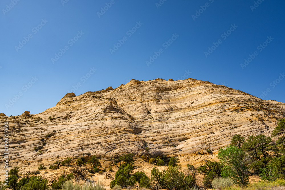 Fototapeta premium Layered Rock Outside Boulder, Utah, Texture, Rock, Profile View, Sandstone, Sedimentary