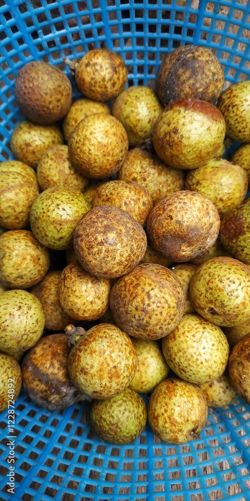 A close-up shot of a cluster of greenish-brown longan fruits nestled in a vibrant blue basket. The longans, with their mottled brown and green shells, appear fresh and ripe A close-up shot of a cluster of greenish-brown longan fruits nestled in a vibrant blue basket. The longans, with their mottled brown and green shells, appear fresh and ripe
