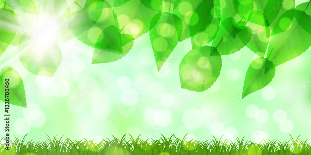 Fototapeta premium 新緑 葉 風景 背景