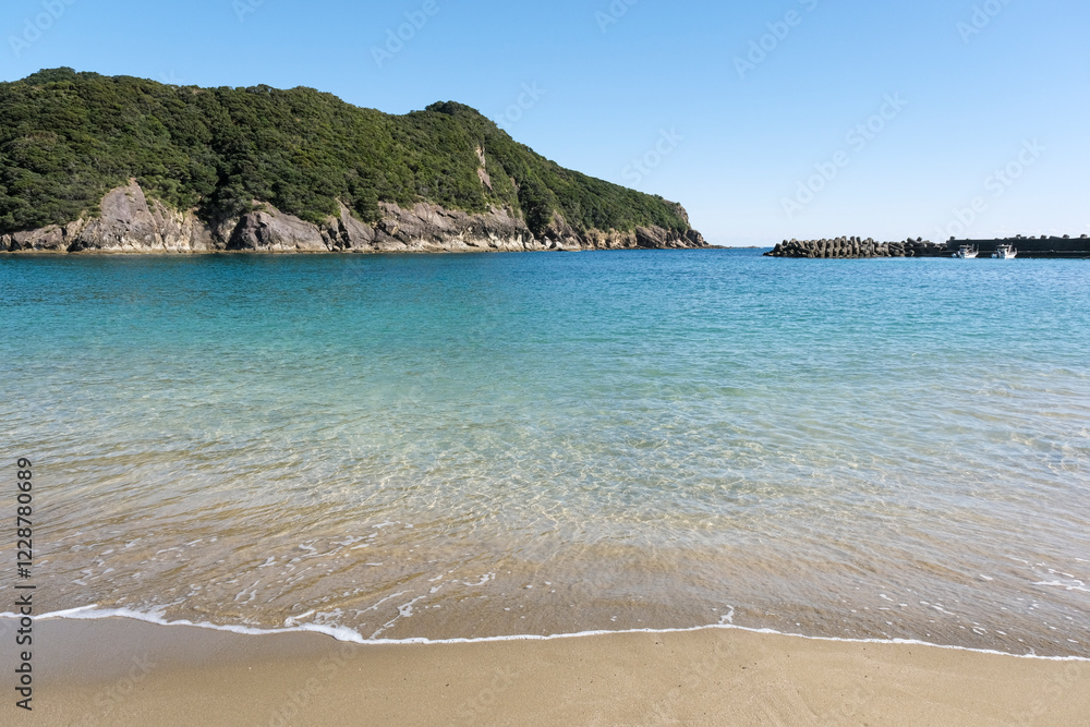 Obraz premium 野生の猿が生息する日南海岸の幸島