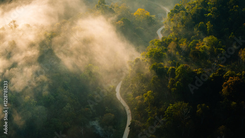 Aerial view of forest road and farm in the morning. Travel. Green transport. Aerial view.