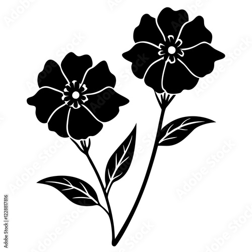 Lechenaultia Flower Duo Silhouette on White