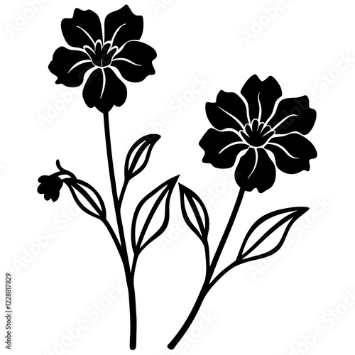 Lechenaultia Flower Duo Silhouette on White