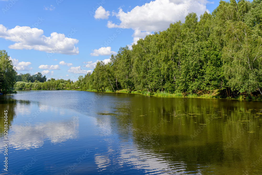 Fototapeta premium tranquil summer day by picturesque lake surrounded by dense forest, perfect for relaxation, picnics, and enjoying the fresh air in a peaceful natural setting