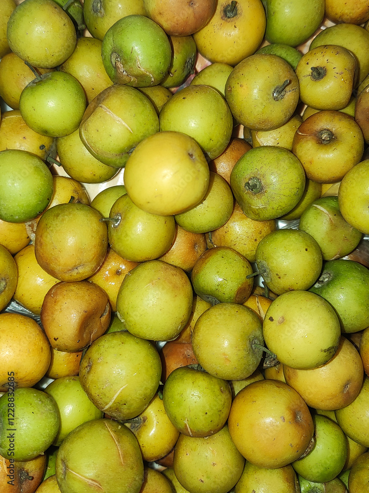 Green jujube of Indian ,dumps, dunks, Chinese date,Chinese apple or pomme surette ,bogori in Assamese Green jujube of Indian ,dumps, dunks, Chinese date,Chinese apple or pomme surette ,bogori in Assamese