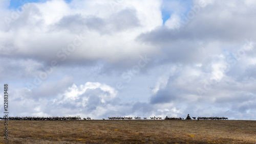Beautiful view of the reindeer herders' camp. Ethnography