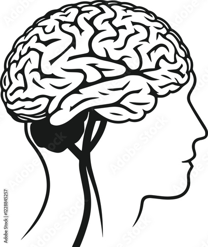 Human brain vector hand drawn anatomy illustration silhouette.