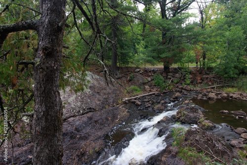 stream in the forest