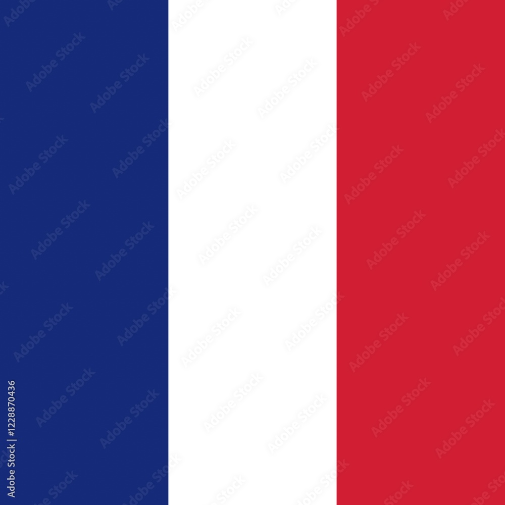 Official national flag of Saint Barthélemy Official national flag of Saint Barthélemy
