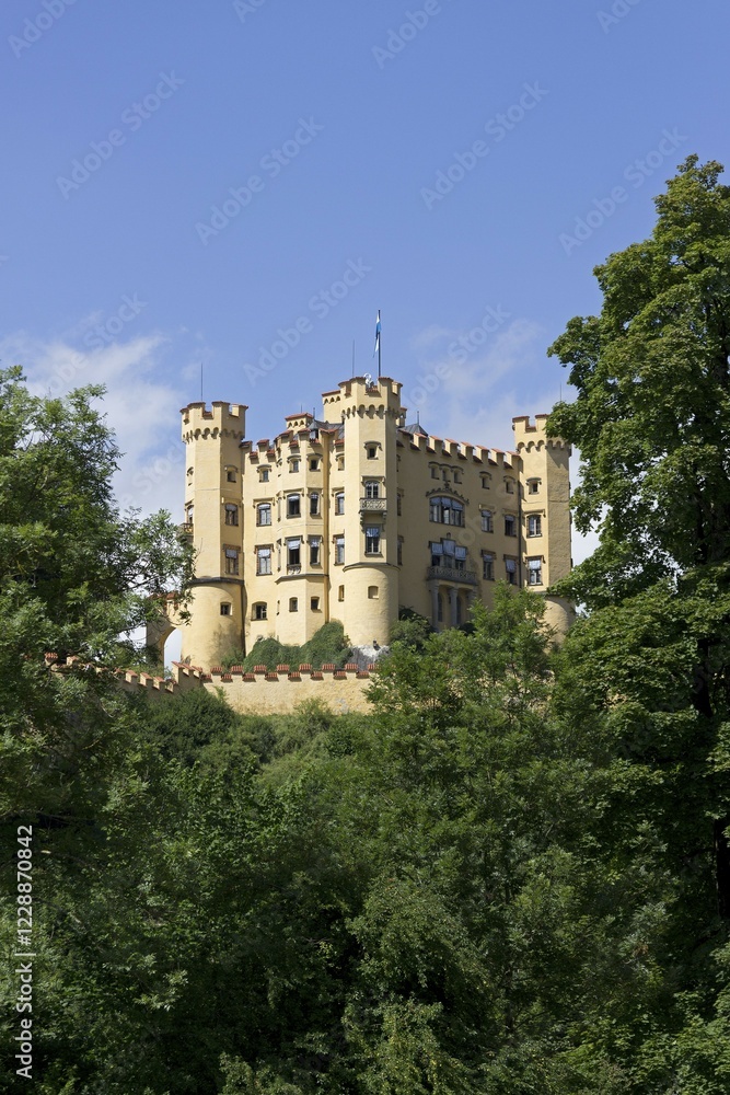 Naklejka premium Castle Hohenschwangau, Hoheschwangau, Allgaeu, Bavaria, Germany, Europe