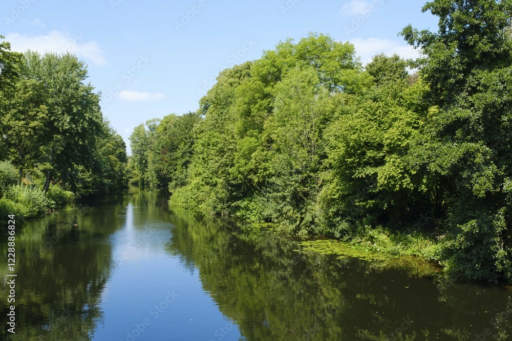 Landscape with forest on the river Ems, Warendorf, North Rhine-Westphalia, Germany, Europe Landscape with forest on the river Ems, Warendorf, North Rhine-Westphalia, Germany, Europe