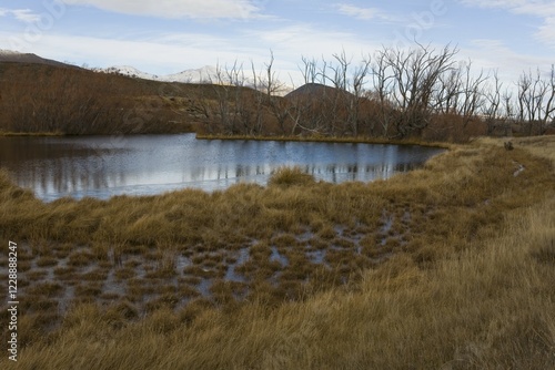 Small lake in a brown grassy landscape, Tekapo, Canterbury, South Island, New Zealand, Oceania