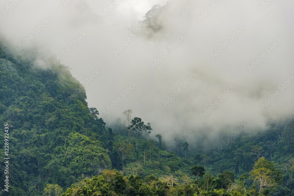 Karst mountains shrouded in clouds, rainforest, Nong Khiaw, Luang Prabang, Laos, Asia Karst mountains shrouded in clouds, rainforest, Nong Khiaw, Luang Prabang, Laos, Asia