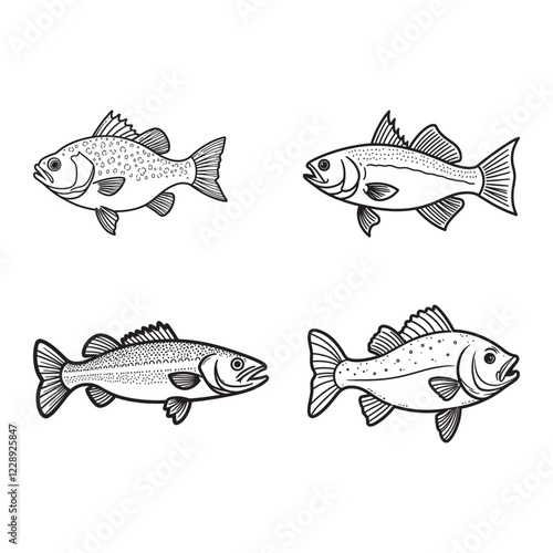 set of bass fish line art vector