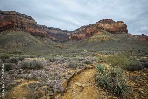 View from Plateau Point Trail in the canyon of the Grand Canyon to the South Rim, hiking trail Bright Angel Trail, eroded rock landscape, Grand Canyon National Park, Arizona, USA, North America photo