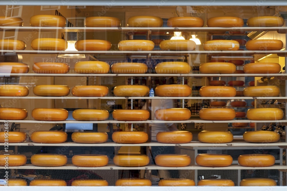 Fototapeta premium Cheese wheels in a shop, Delft, Holland, The Netherlands, Europe