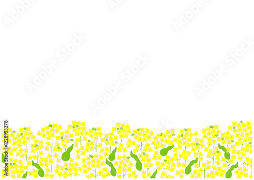 菜の花の背景イラスト