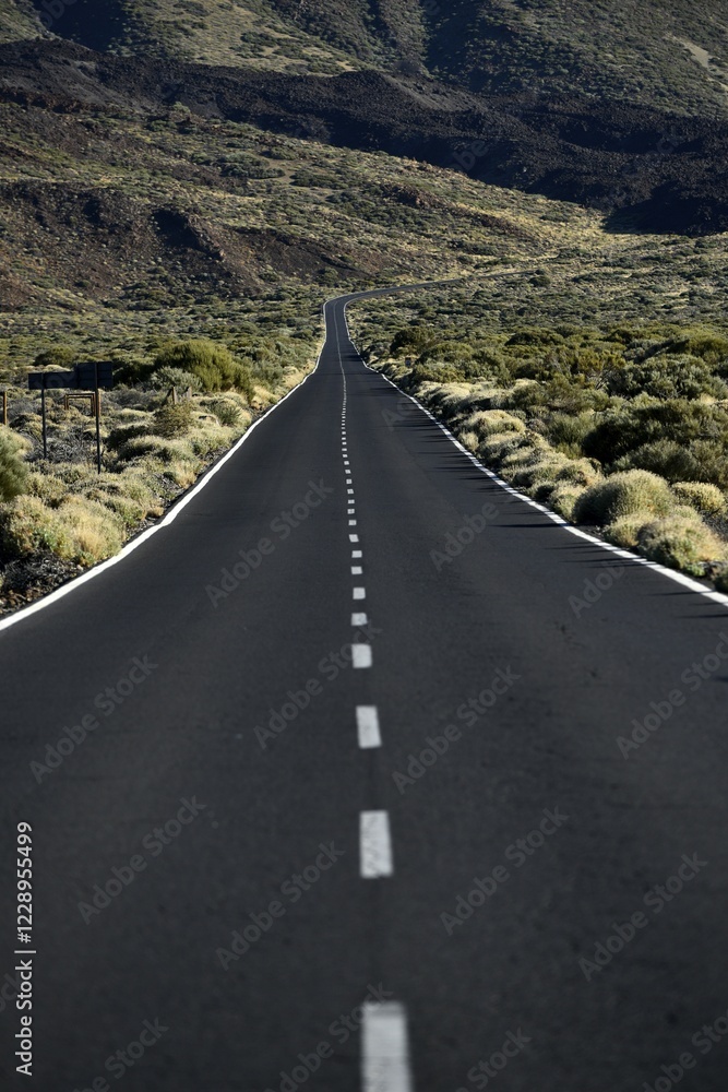 Obraz premium Road TF21, volcanic landscape, Teide National Park, Tenerife, Canary Islands, Spain, Europe