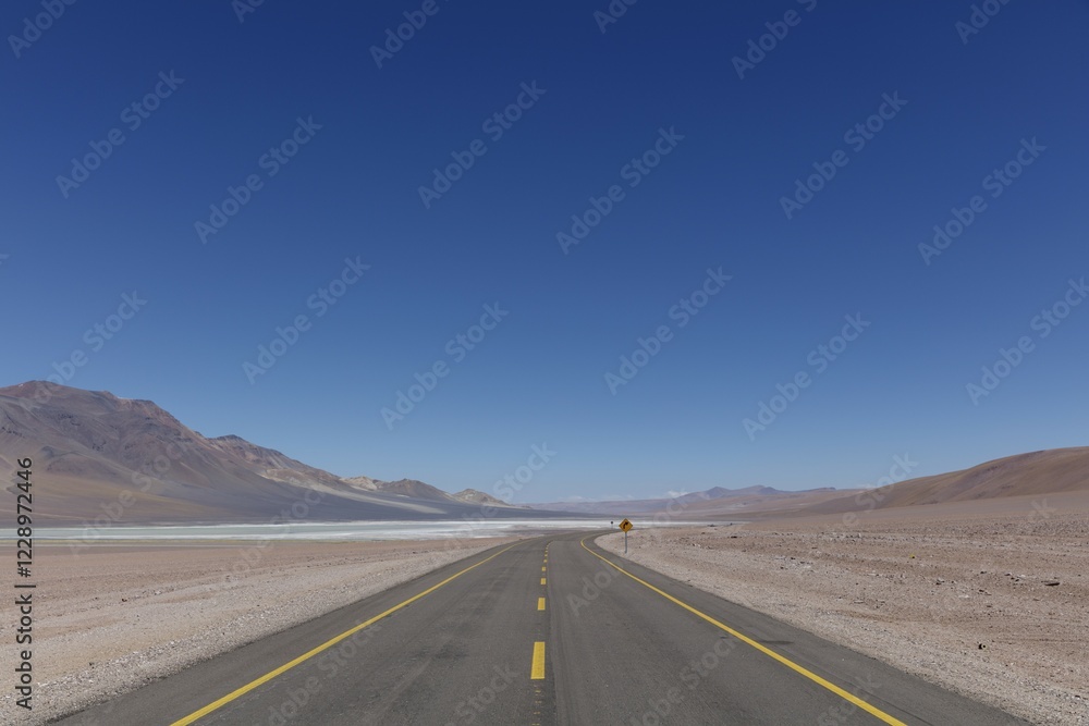 Fototapeta premium Road leads through Altiplano, San Pedro de Atacama, Antofagasta region, Chile, South America
