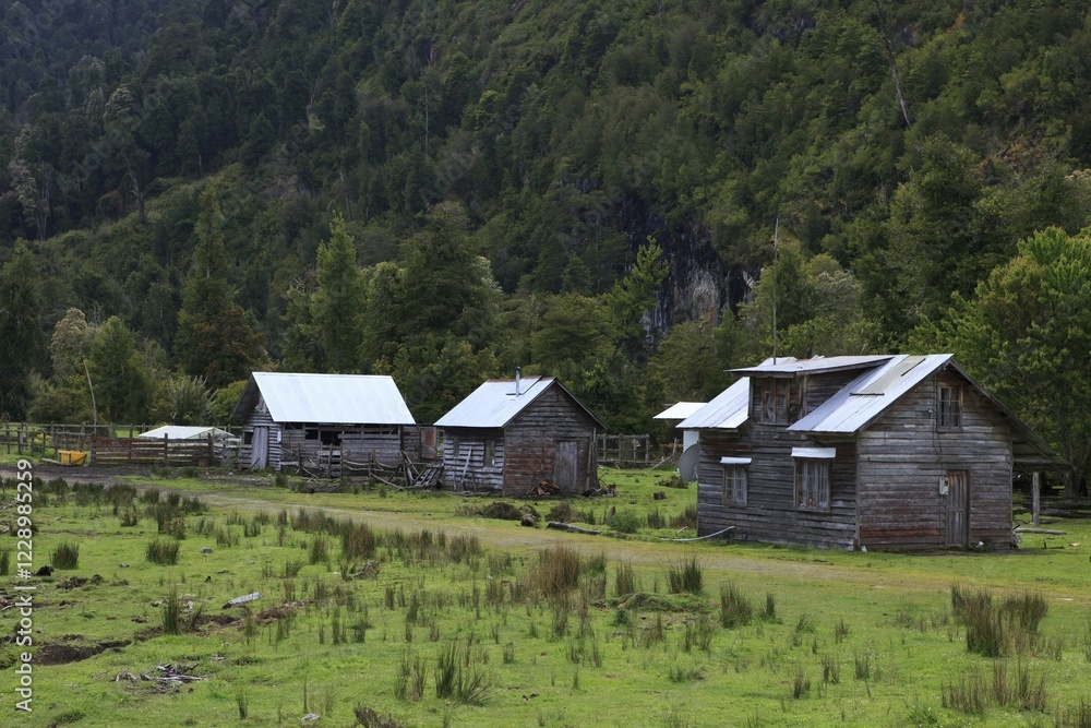 Traditional Chilean wooden huts on a meadow on the Carretera Austral, Ruta CH7 road, Panamerican Highway, Region de Aysen, Patagonia, Chile, South America, America, South America Traditional Chilean wooden huts on a meadow on the Carretera Austral, Ruta CH7 road, Panamerican Highway, Region de Aysen, Patagonia, Chile, South America, America, South America
