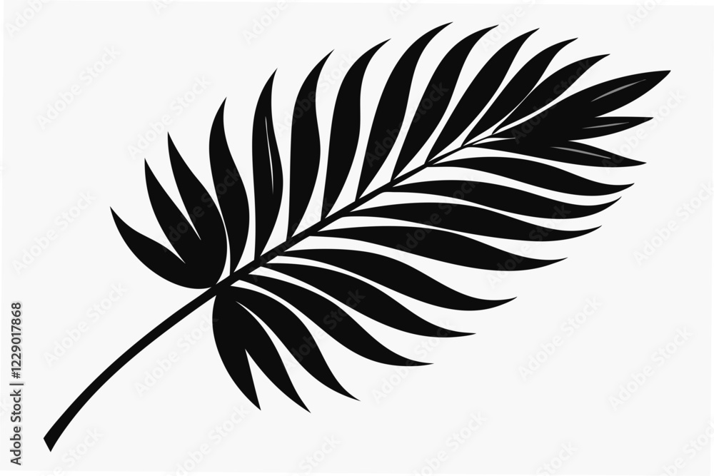 Fototapeta premium palm leaf silhouette vector