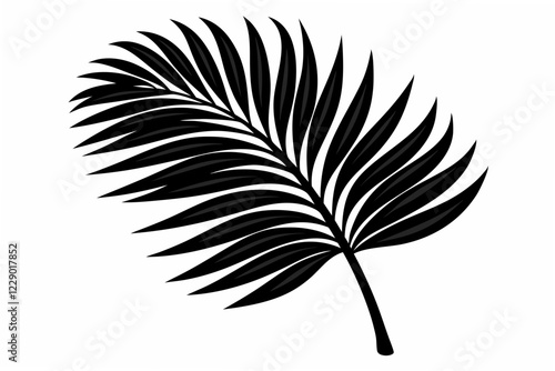 palm leaf   silhouette vector