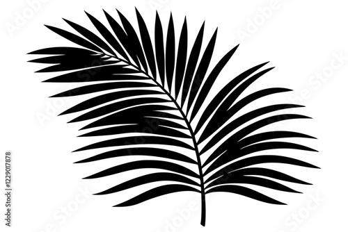 palm leaf   silhouette vector