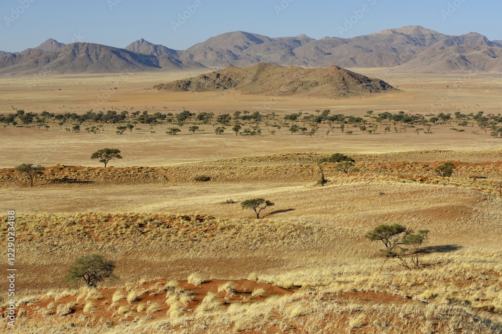 Barren grassland, Gondwana Namib Park, near Sesriem, Hardap Region, Namibia, Africa Barren grassland, Gondwana Namib Park, near Sesriem, Hardap Region, Namibia, Africa