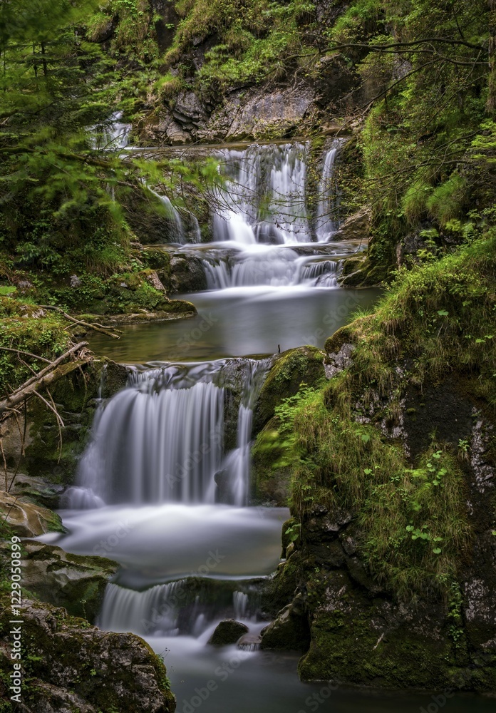 Obraz premium Sibli waterfall, mountain creek Rottach, near lake Tegernsee, Upper Bavaria, Bavaria, Germany, Europe