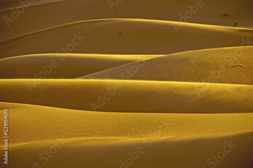 Sand dunes, Erg Chebbi, Sahara, Morocco, Africa photo