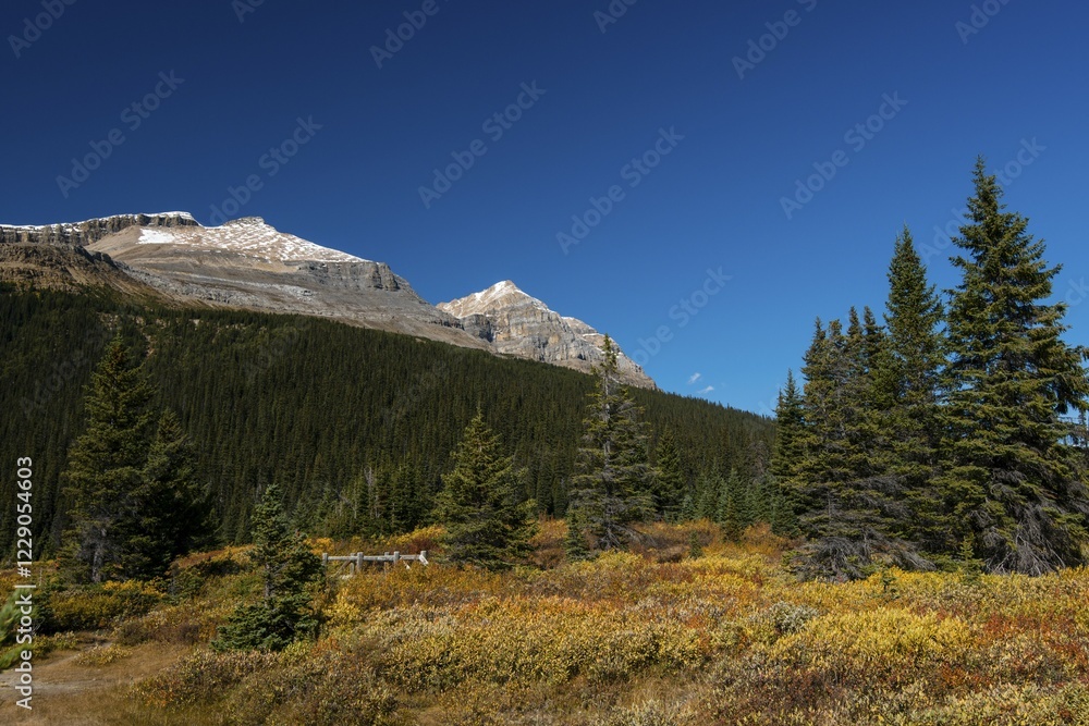 Obraz premium Trail on glacial lake Bow Lake, Banff National Park, Canadian Rockies, Alberta Province, Canada, North America