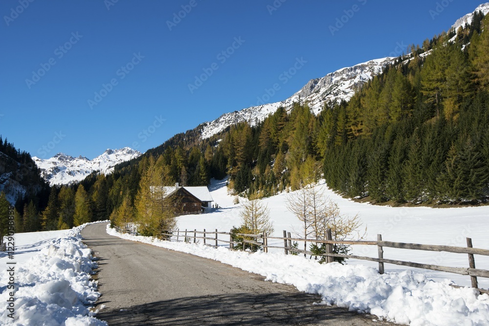 Fototapeta premium Autumn in the Park Riedingtal nature park, autumn colours, larches, first snow, Zederhaus, Lungau, Salzburg, Austria, Europe