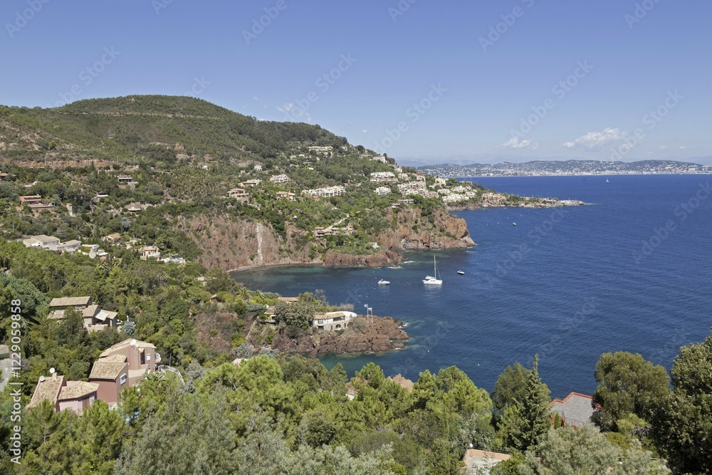 Coast near Miramar, Cote d'Azur, France, Europe Coast near Miramar, Cote d'Azur, France, Europe